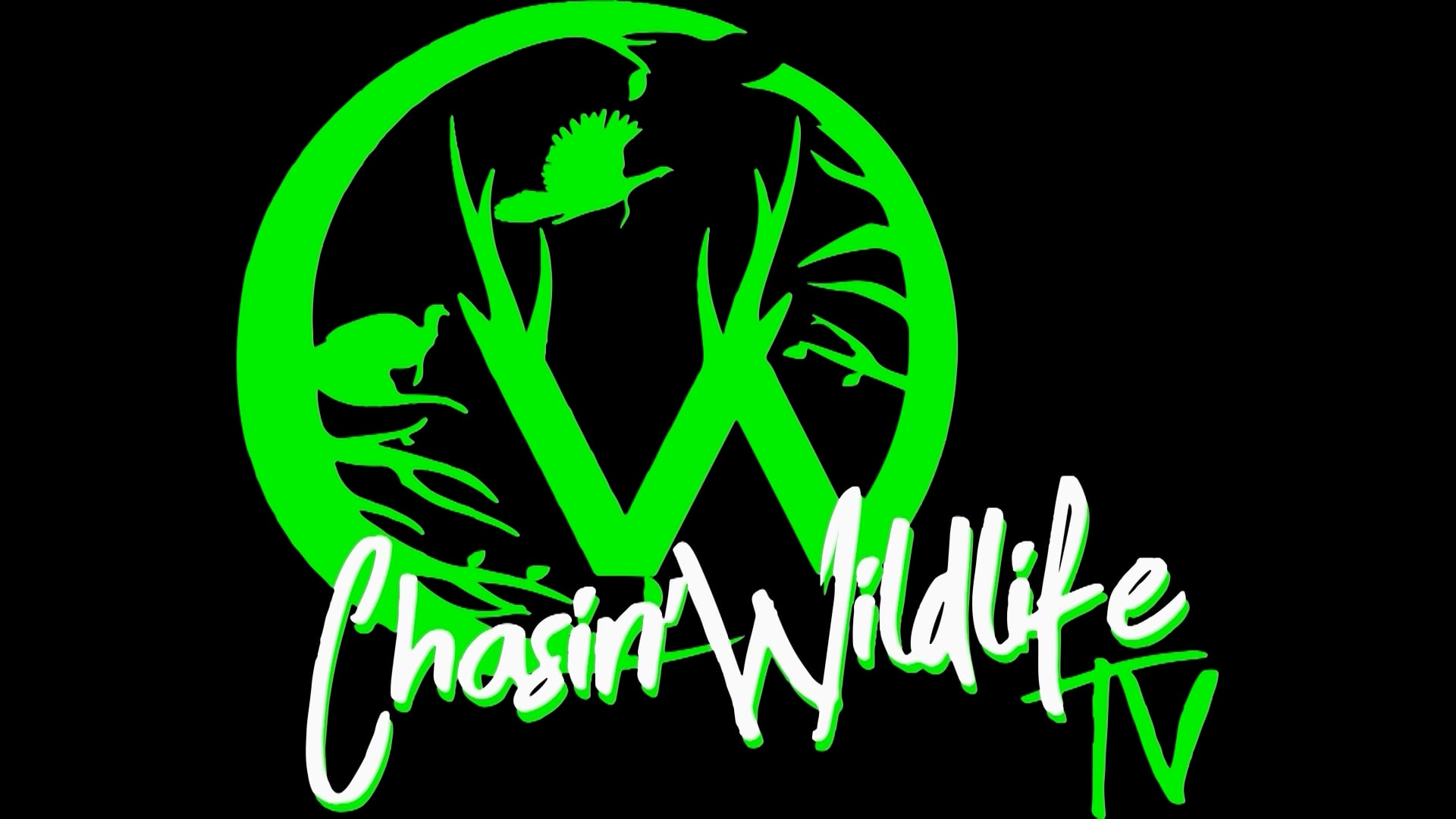 Chasin Wildlife - Episode 9