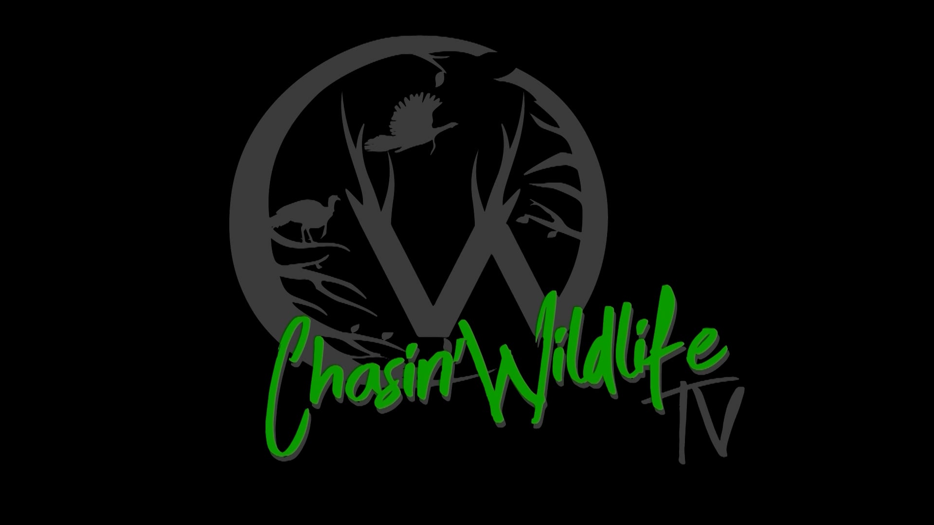 Chasin Wildlife - Episode 2