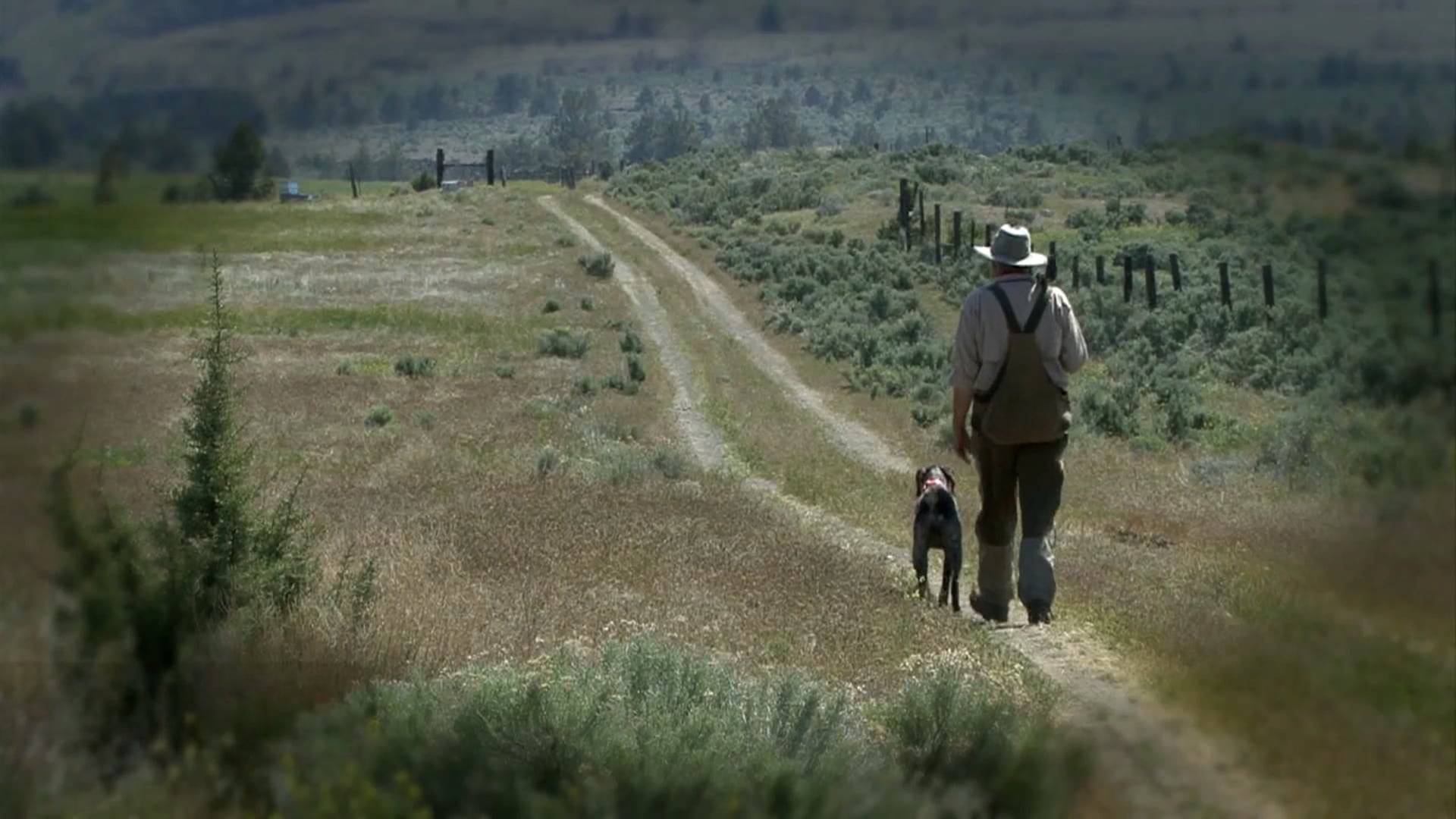 Scott Linden's Upland Nation - Season 2 - Episode 1 - Shoot better, teach your old dog new tricks, find more hunting ground