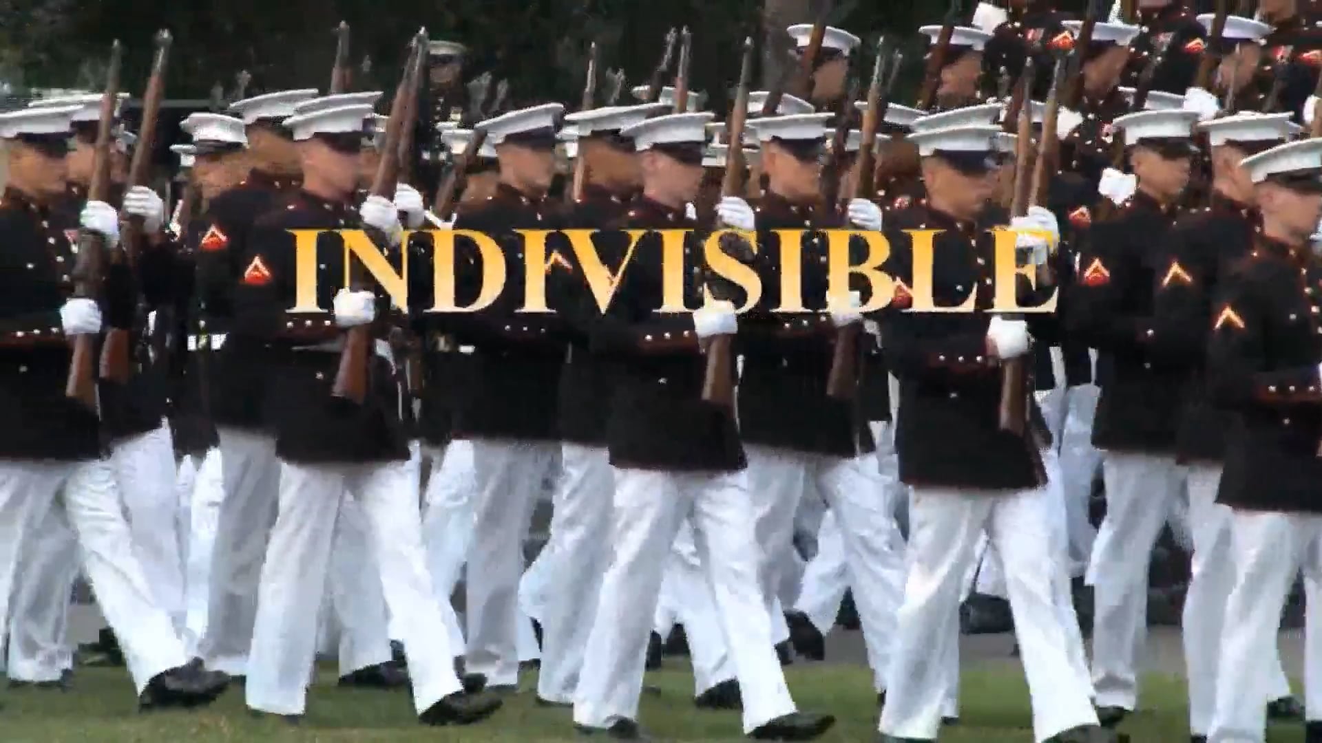INDIVISIBLE with John Stubbins S3 Ep16 - Dee Dee Sorvino