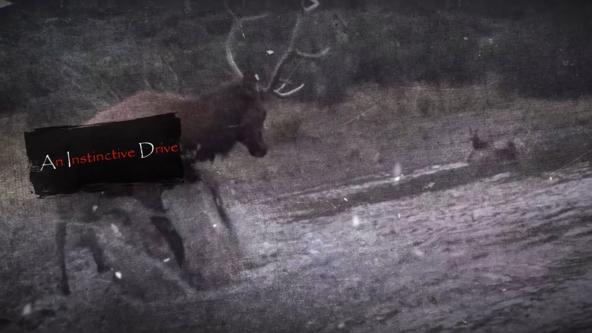 Total Outdoor Pursuit - Season 8 - Episode 6 - North Dakota DIY Duck Hunt!