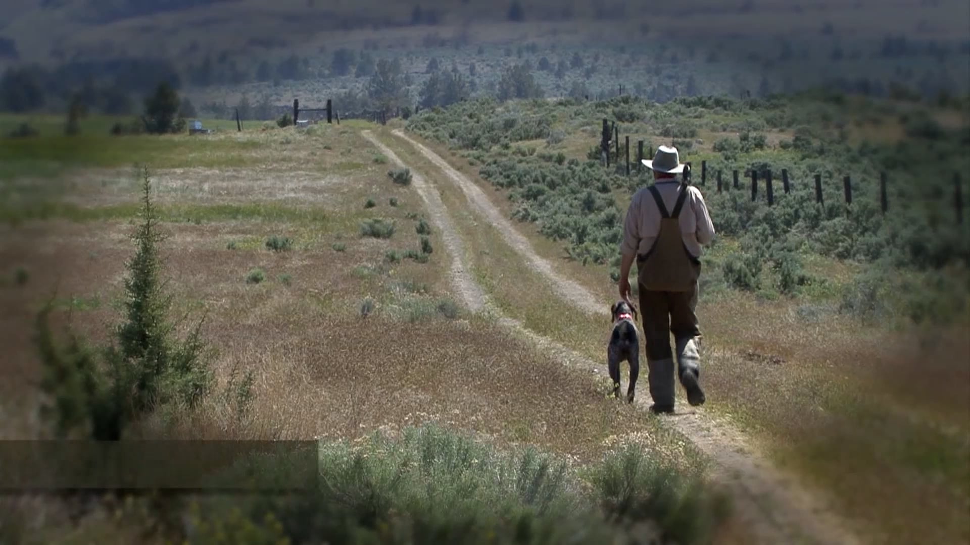 Scott Linden's Upland Nation - Season 1 - Episode 70 - He's a sensitive dog ... help him relax_1