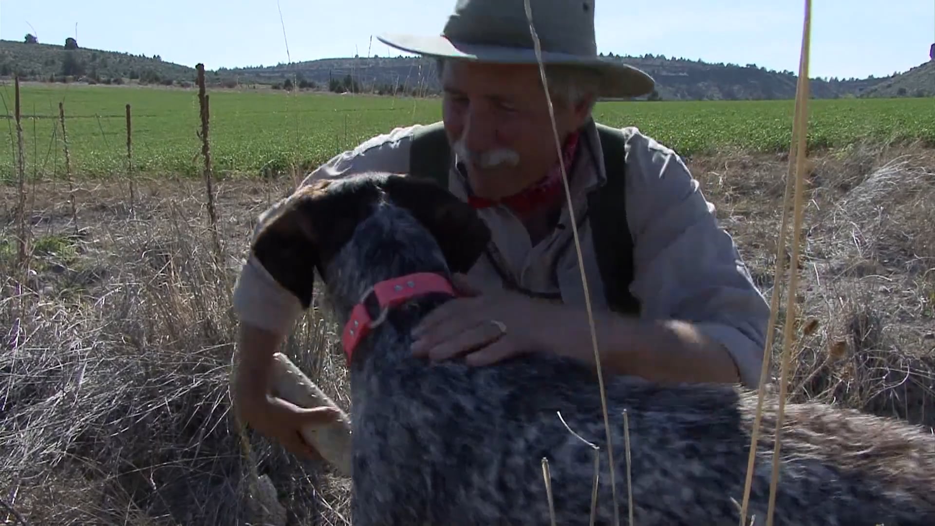 Scott Linden's Upland Nation - Season 1 - Episode 69 - Let him keep that bird ... for a bit