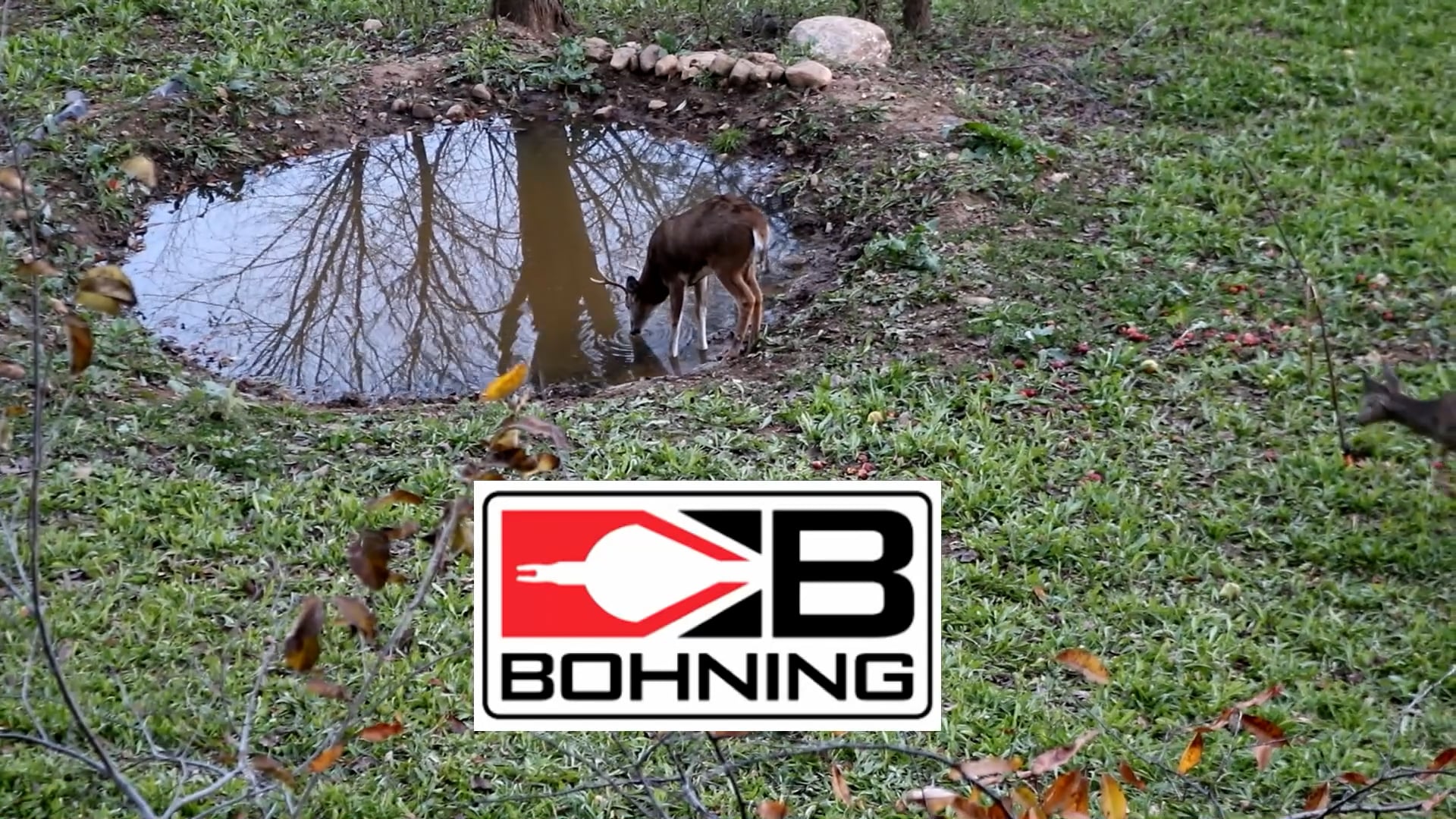 Boot-Trac Adventures - Season 6 - Episode 11 - Return of the Learn to Hunt Pt. 2