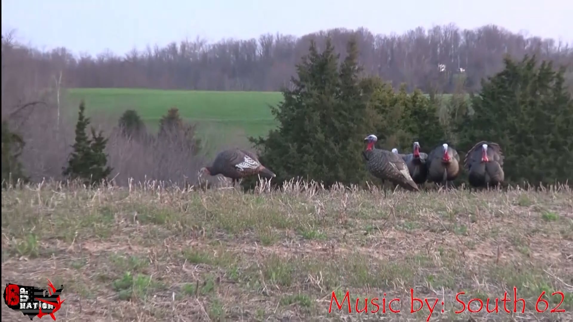 8Up Nation TV - Season 10a - Episode 7 - Texas Whitetail Part 1.mp4