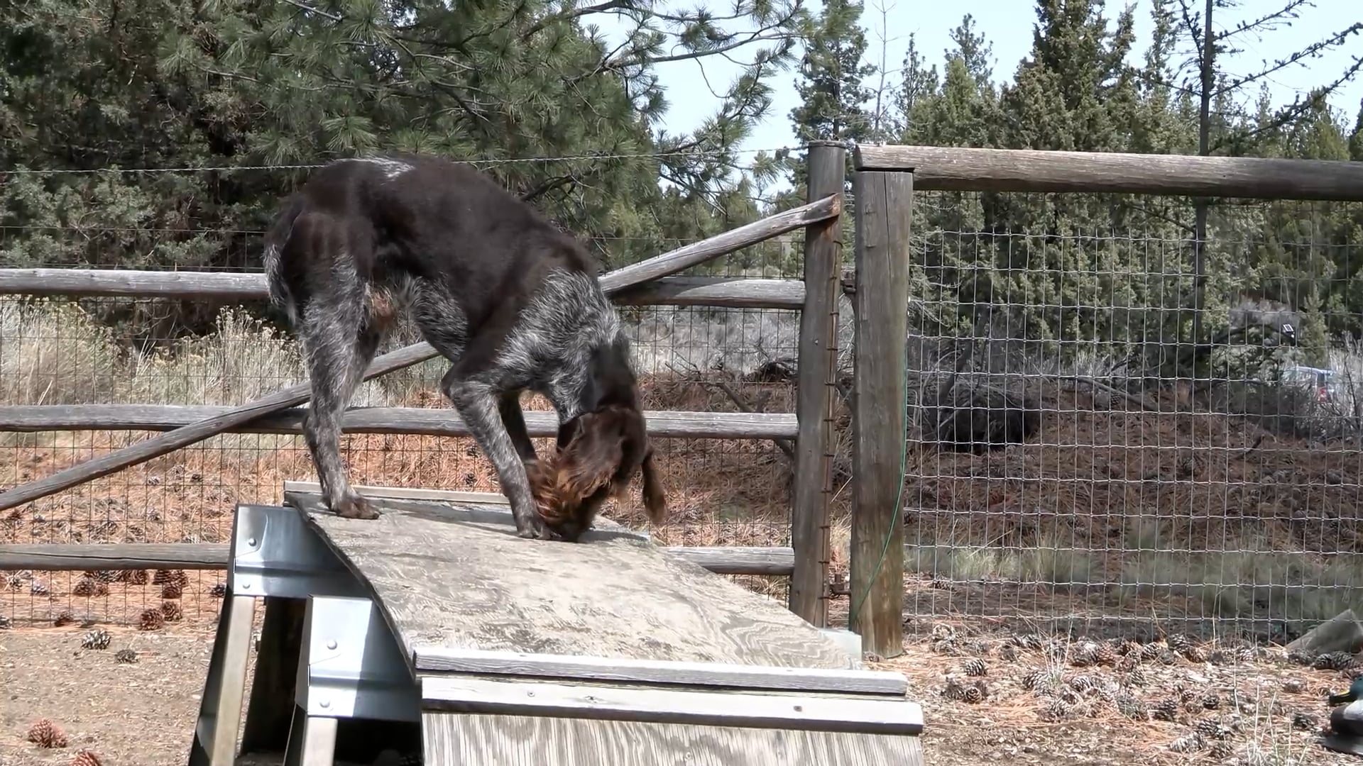 Scott Linden's Upland Nation - Season 1 - Episode 36 - Want worms Take your dog hunting
