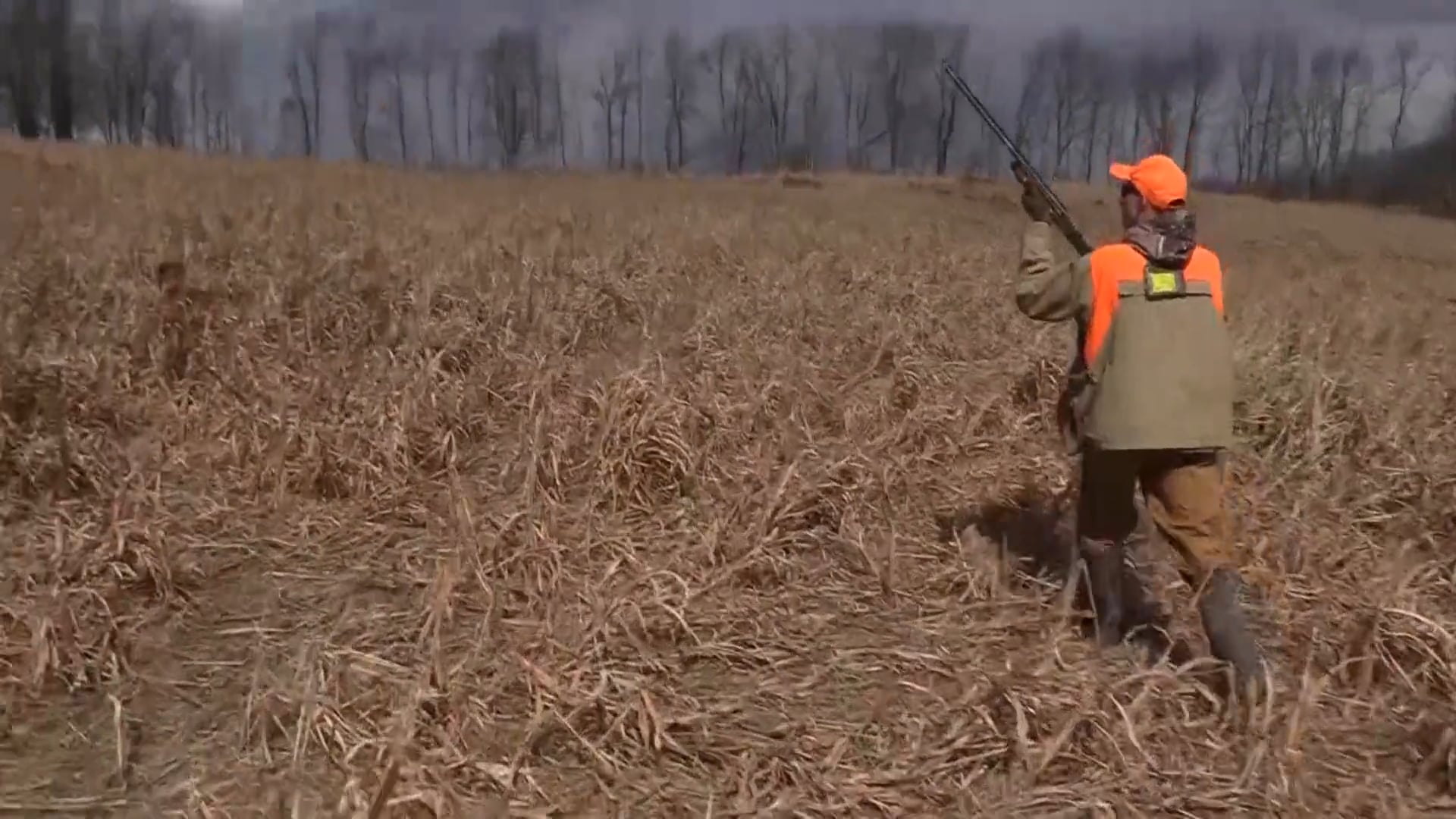 8Up Nation TV - Season 10a - Episode 6 - Pheasant Hunting