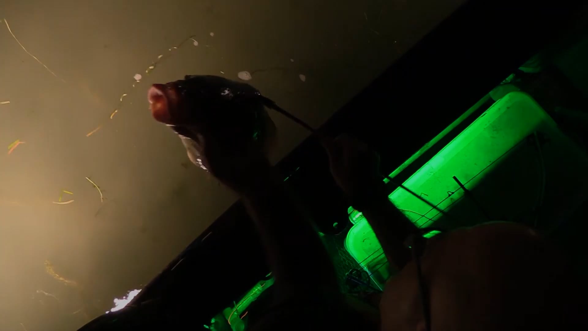 8Up Nation TV - Season 10a - Episode 5 - Bowfishing.mp4