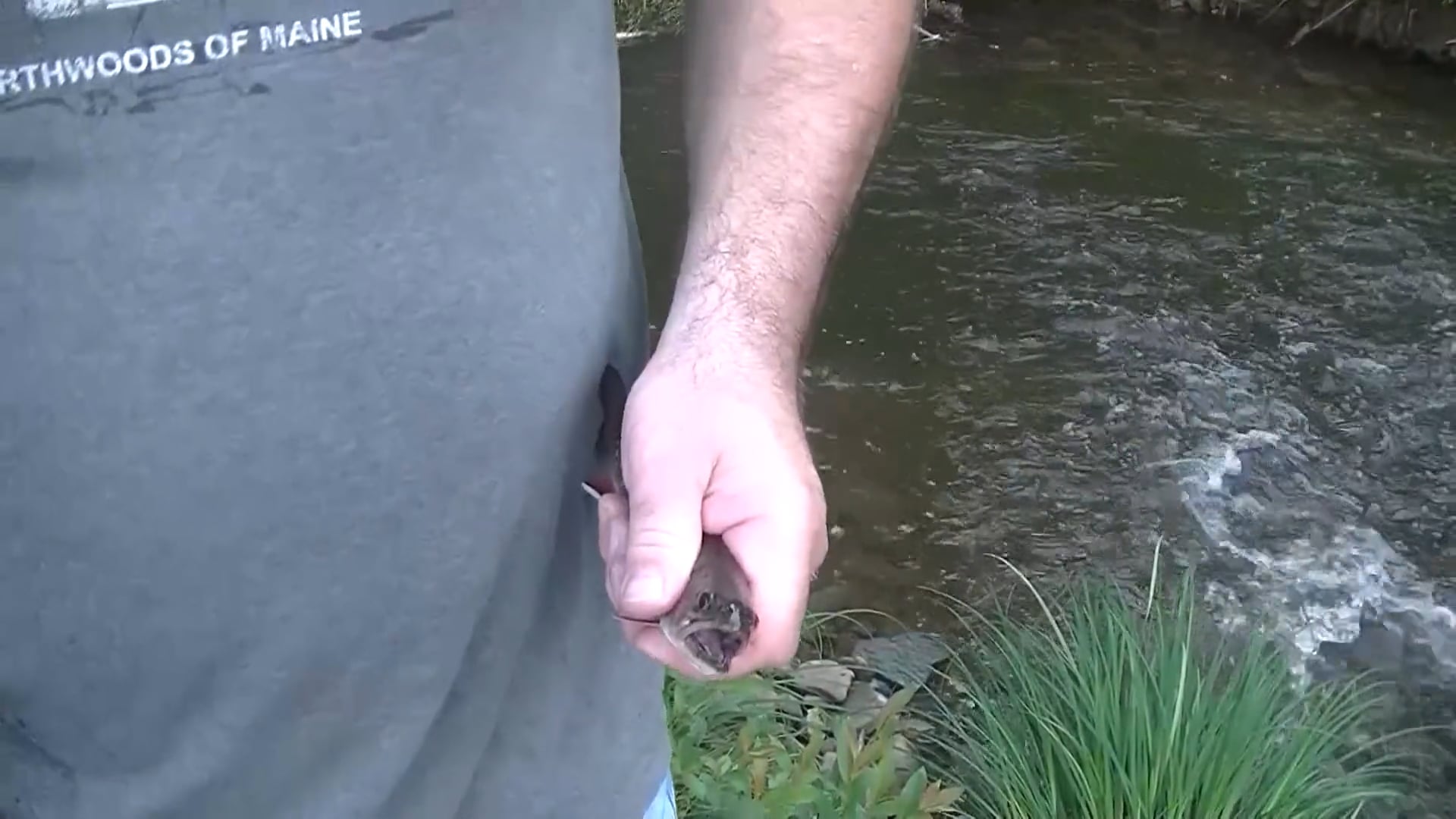 8Up Nation TV - Season 10a- Episode 3 - Native Trout in PA.mp4