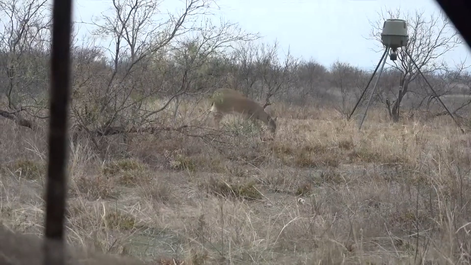 Backwoods Life - Season 17 - Episode 11 - Oklabama Adventure.mp4