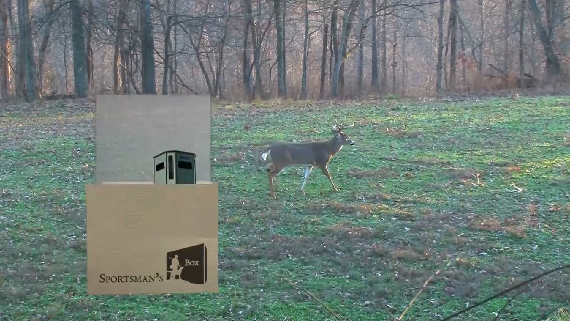 Backwoods Life - Season 17 - Episode 9 - Hunting Lucky.mp4