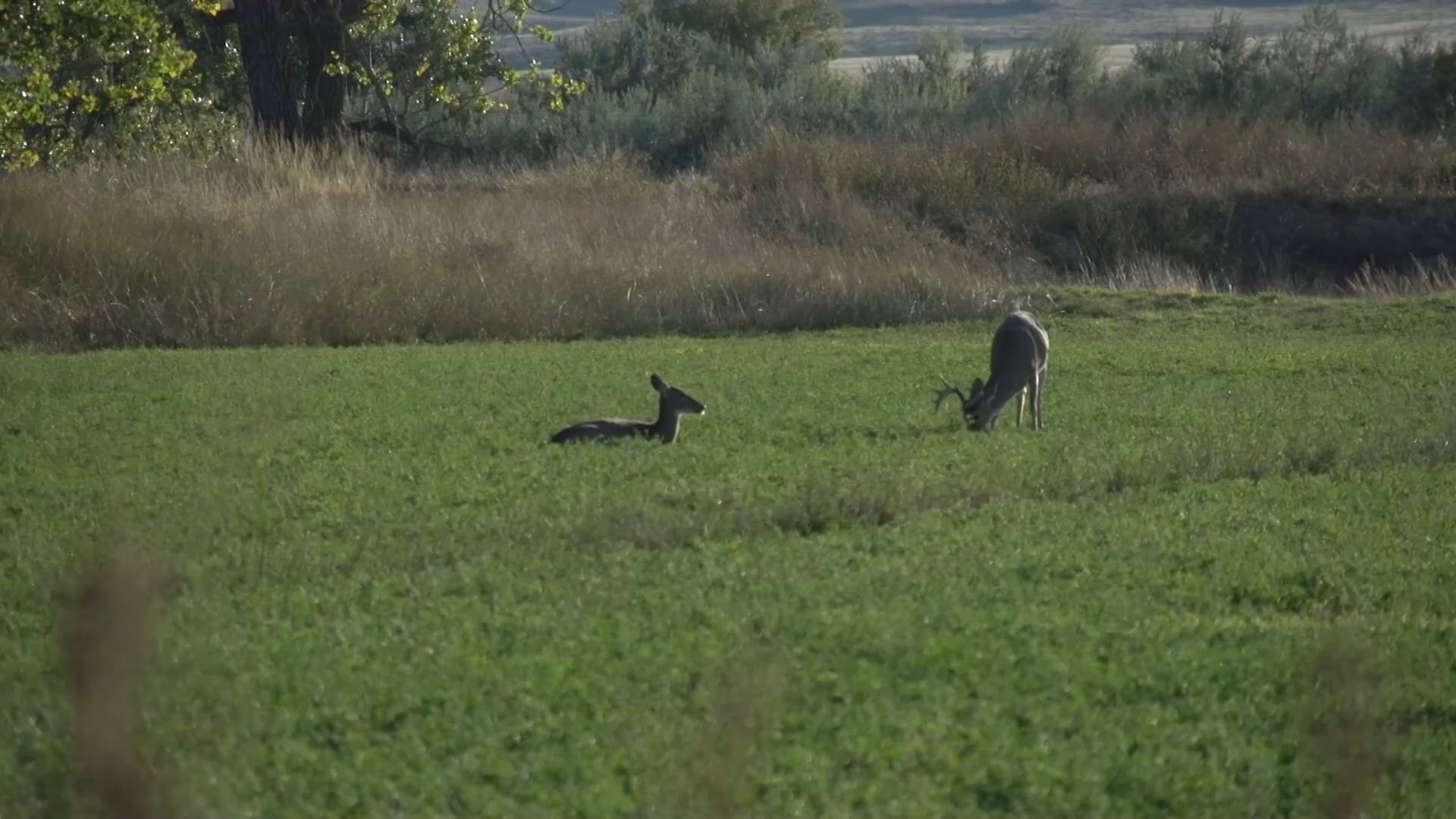 Small Town Hunting - Season 4 - Episode 3 - MONTANA ARCHERY SLAM Pt. 2.mp4
