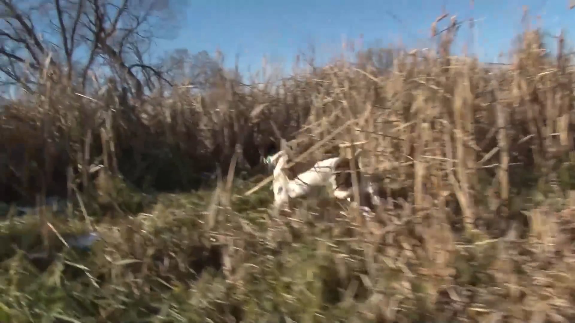 Scott Linden's Upland Nation - Season 1 - Episode 26 - Coachella for bird dogs!
