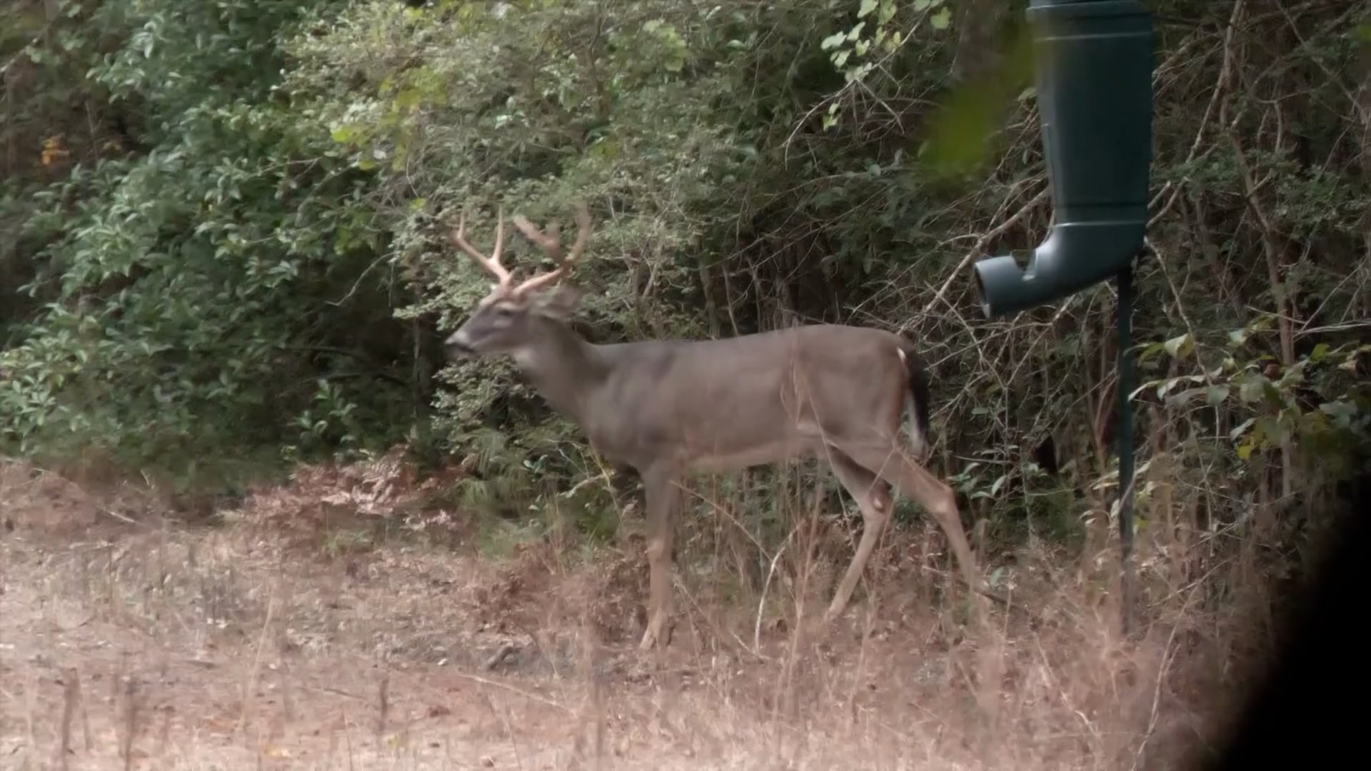 Backwoods Life - Season 17 - Episode 1 - Backwoods Kick-Off