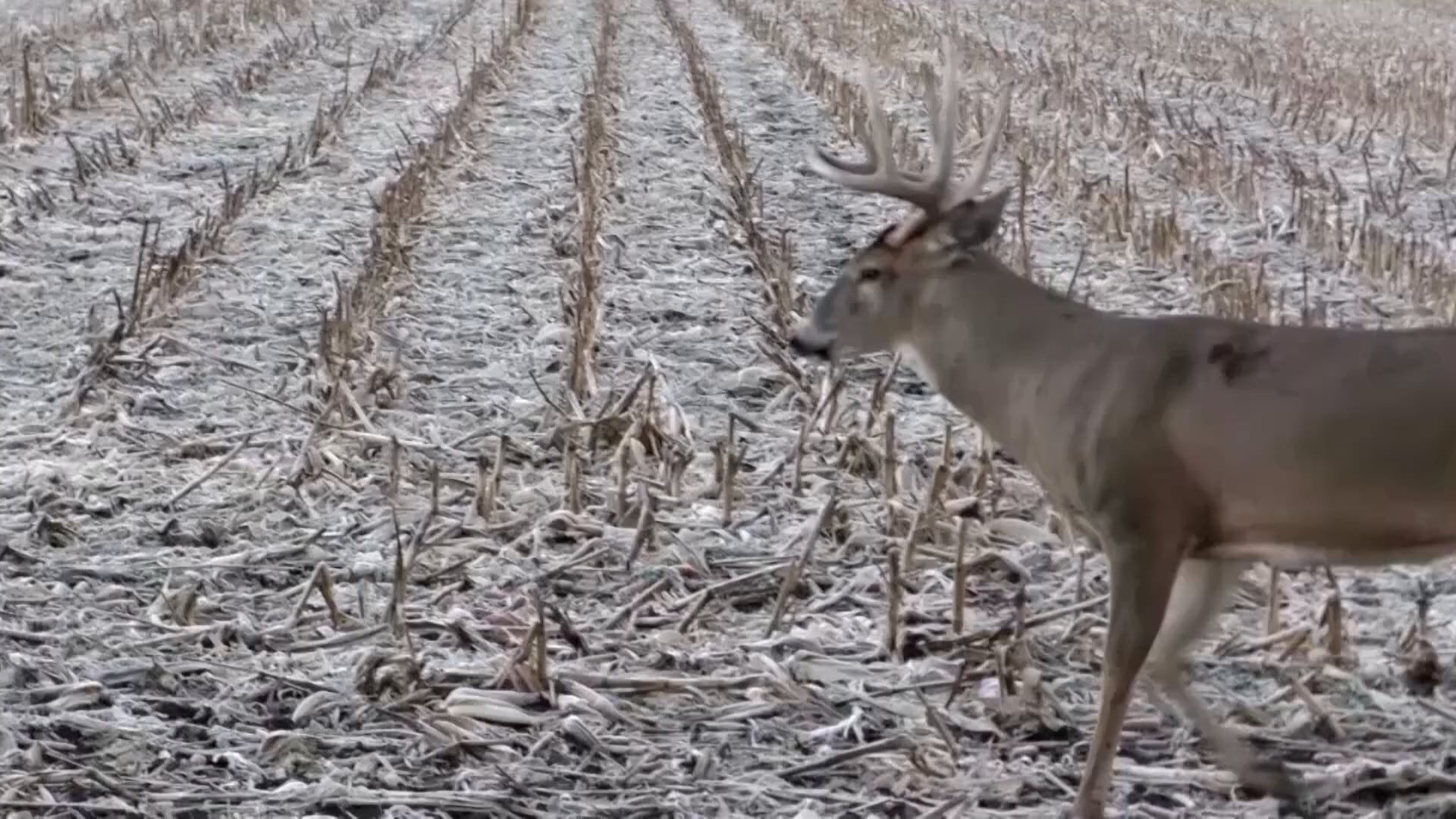 Through the Eyes of the Hunter - Episode 28 - Saywer and Rick youth hunt 2019