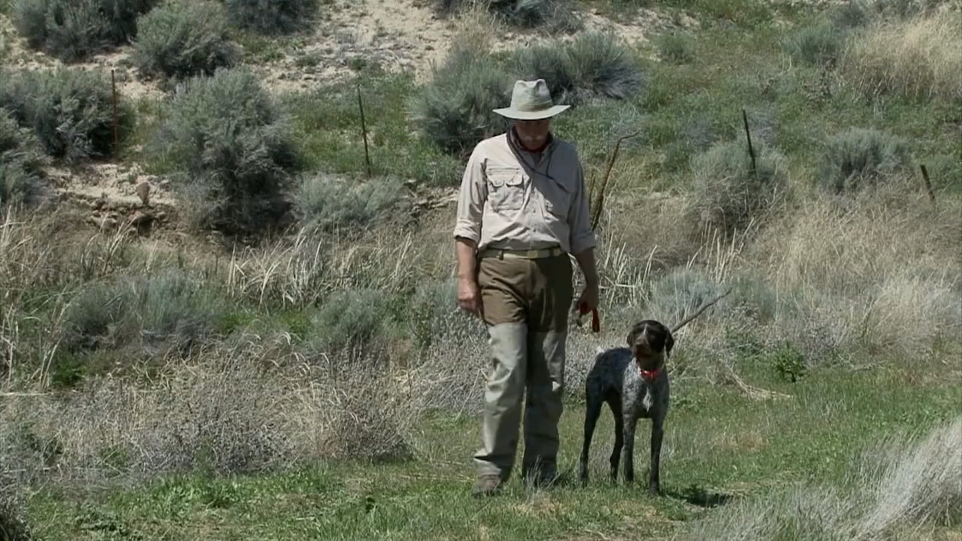 Scott Linden's Upland Nation - Season 1 - Episode 16 - Bird dog training One (baby) step at a time