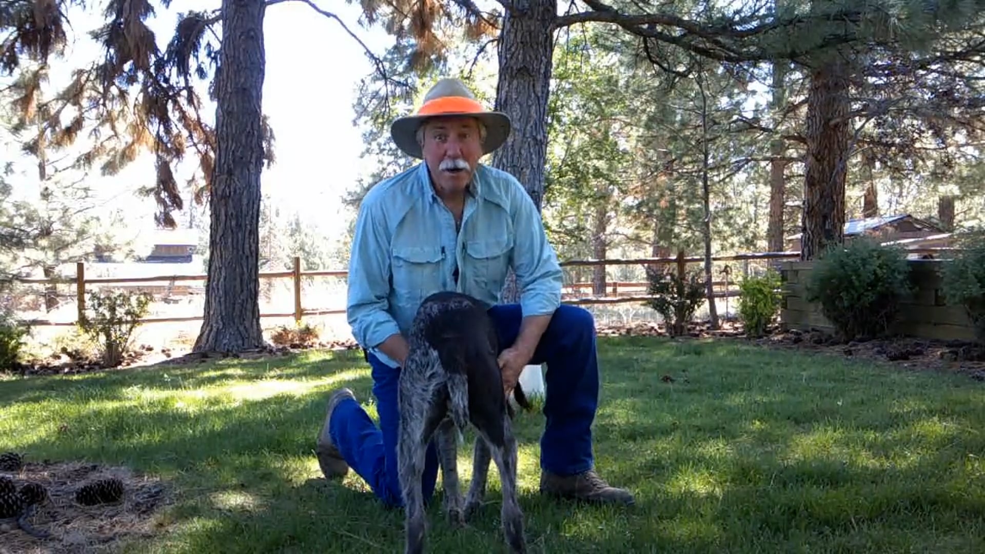 Scott Linden's Upland Nation - Season 1 - Episode 11 - Hauling ash minimize for peak performance in your bird dog