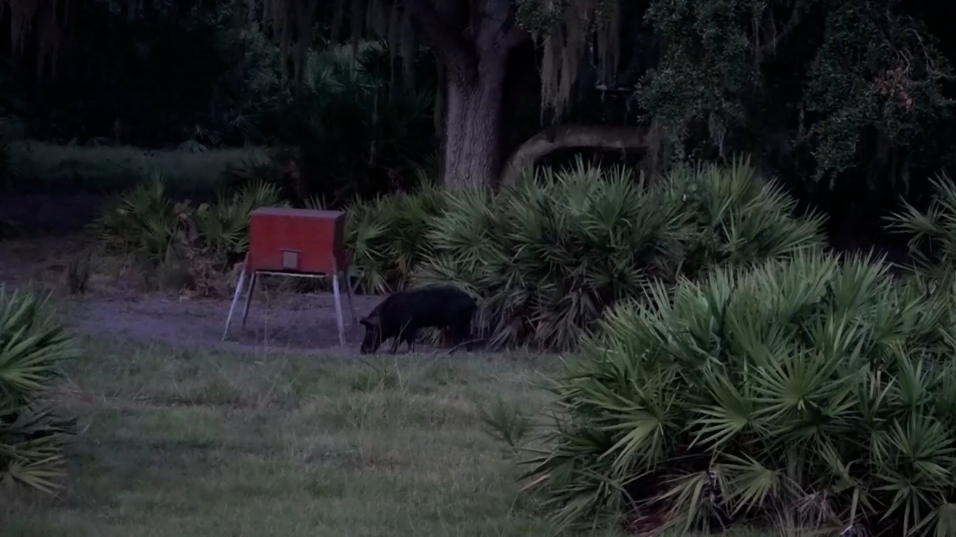 Beyond The Bar - Season 2 - Episode 11 - Gators, Hogs and Good Times! - Part 2