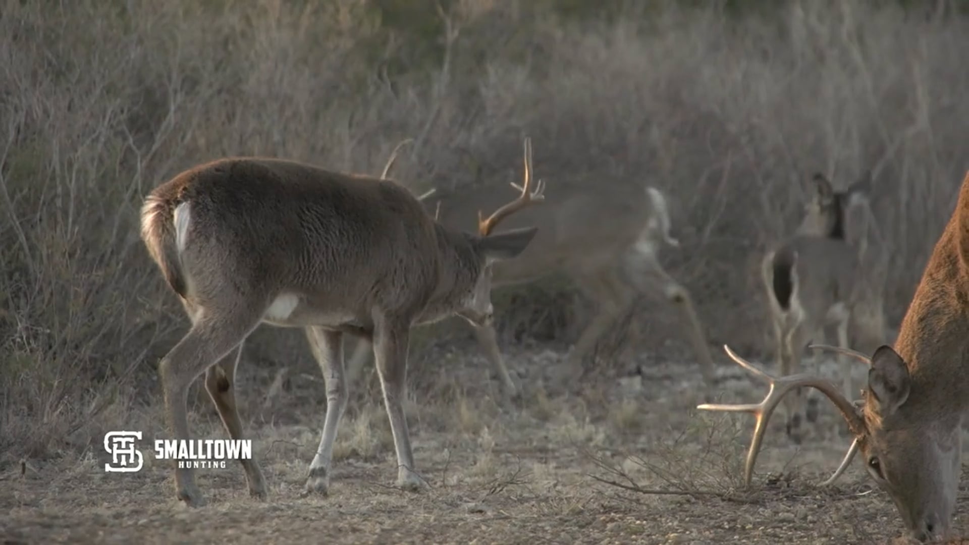 Small Town Hunting - Season 4 - Episode 12 - Mexico Bowhunters Dream Part2