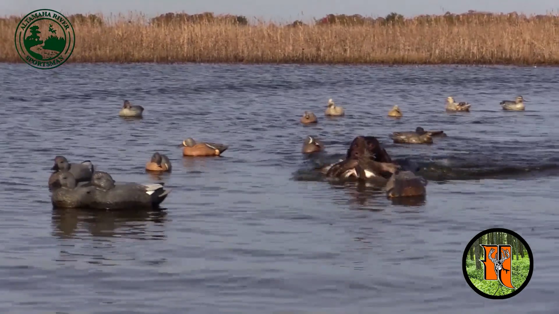 Altamaha River Sportman - Season 2 - Episode 11 - Lousiana Limits (Part Deaux)