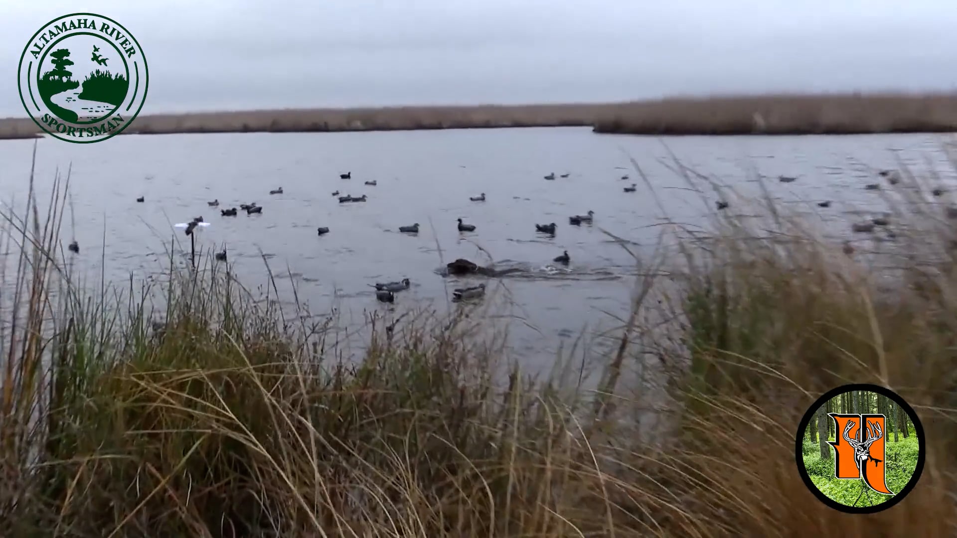 Altamaha River Sportman - Season 2 - Episode 10 - Gabes Grays