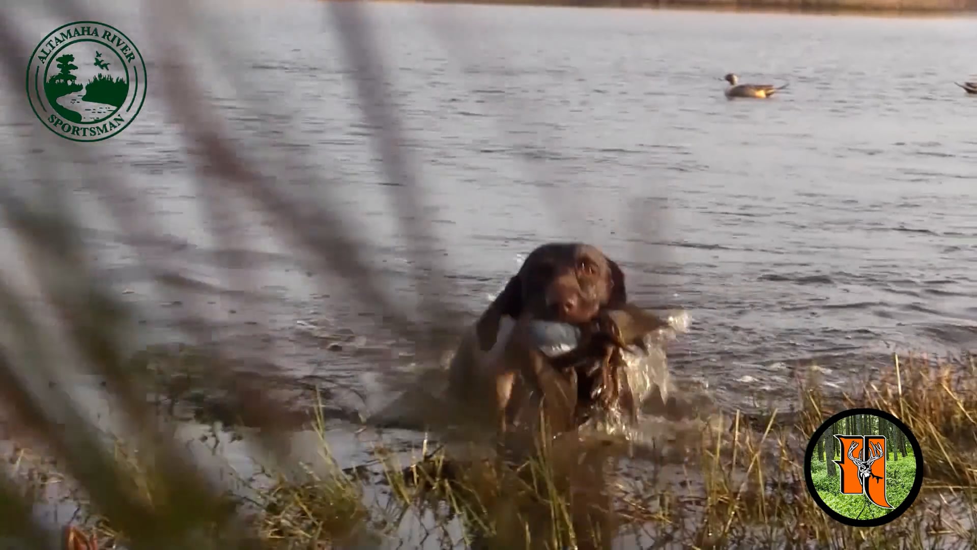 Altamaha River Sportman - Season 2 - Episode 9 - Louisiana Limits