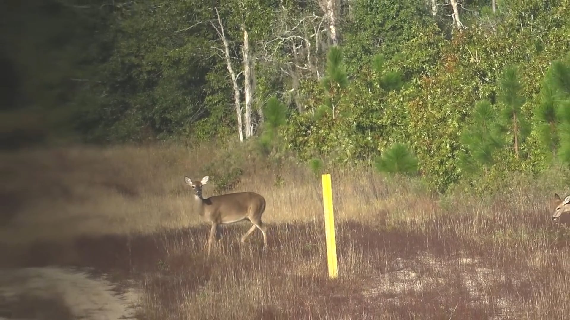 Backwoods Life - Season 6 - Episode 5 - Heartland Vs Home