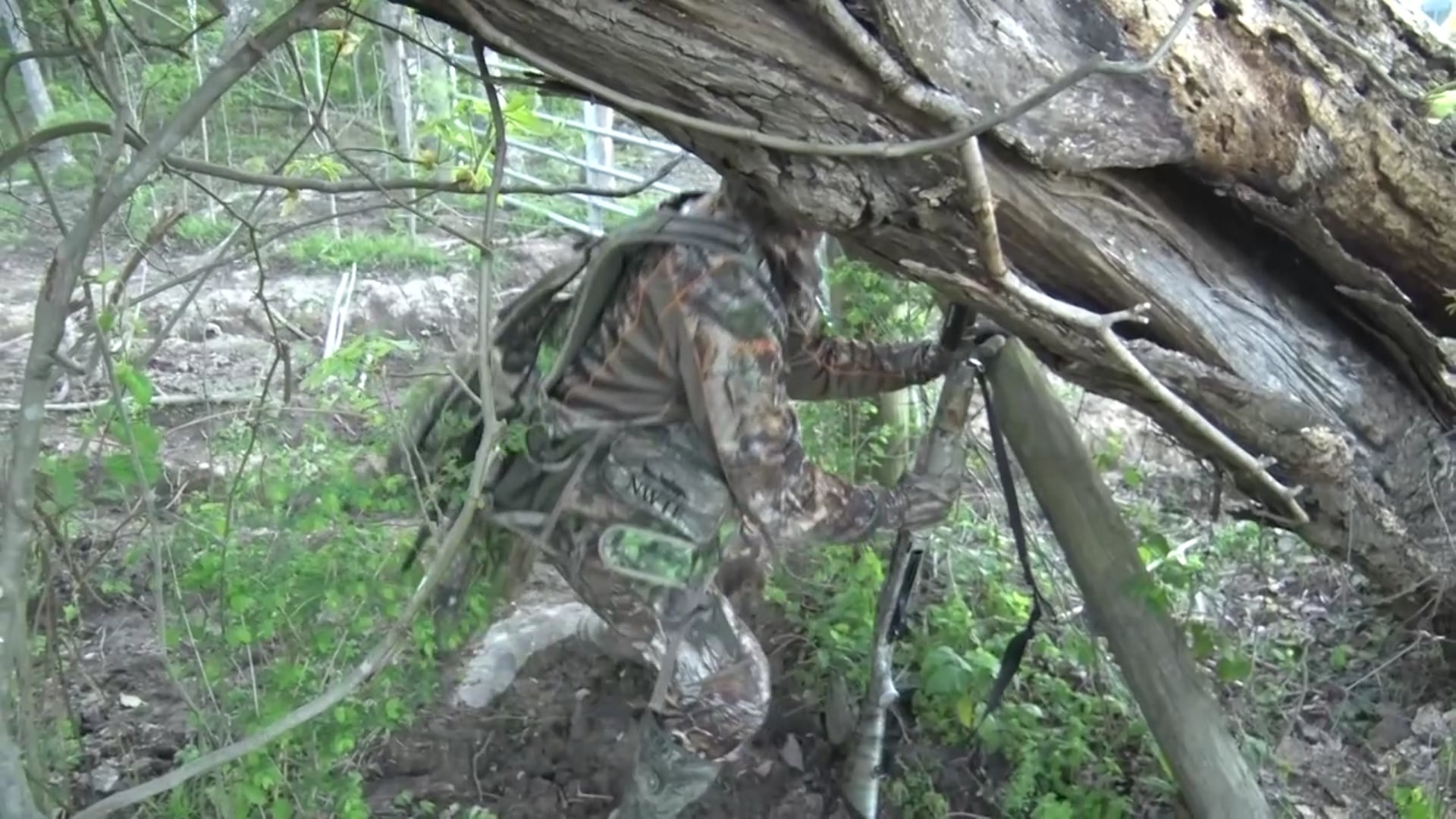 Aaron Outdoors - Season 5 - Episode 4 - Bulls & Toms