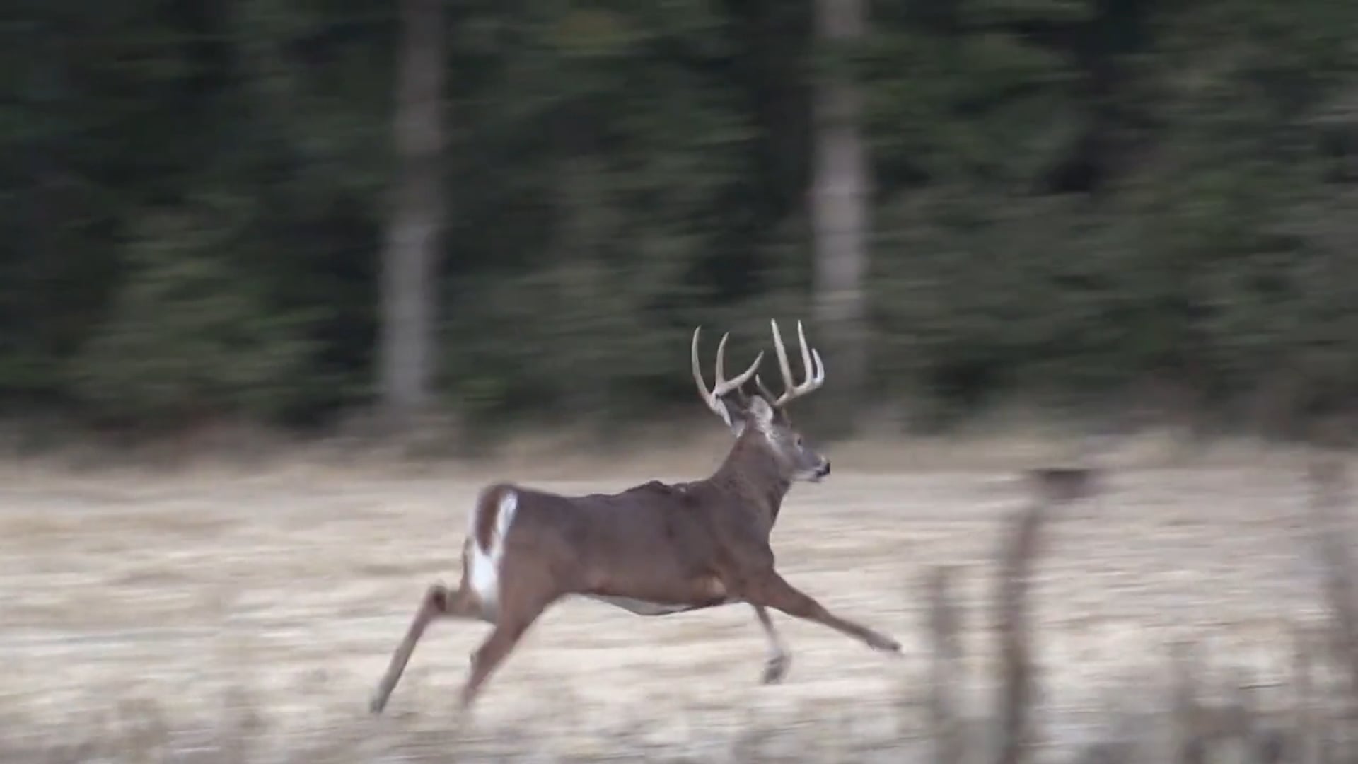Grace Camo & Lace - Season 4 - Episode 8 - Bowhunting with the Best