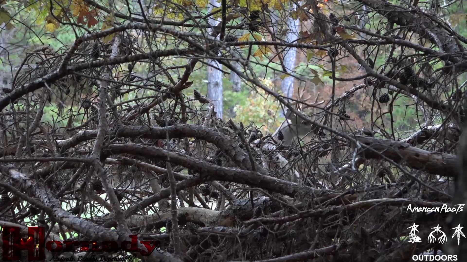 American Roots Outdoors - Episode 3 - Bow Killl