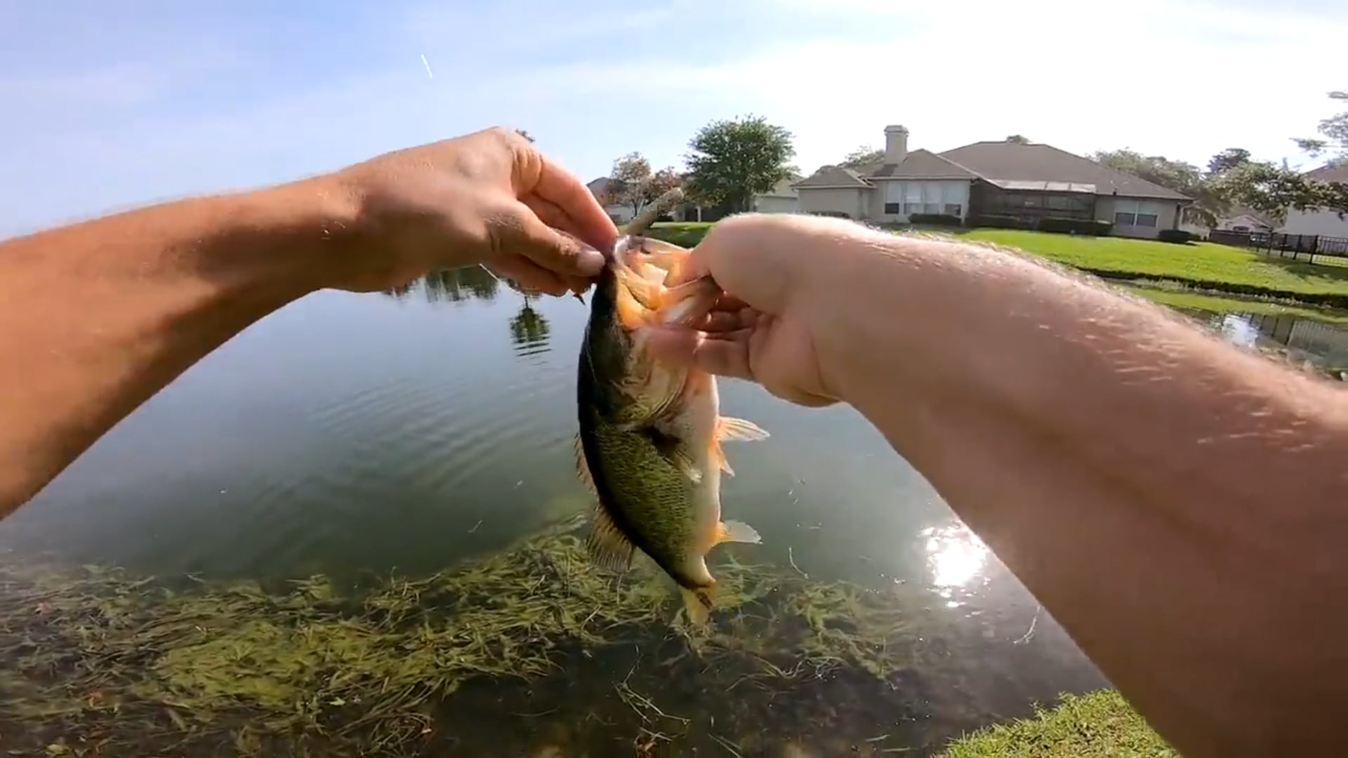2019.ep2.Fishing w ZEBCO 33 for GIANT Bass