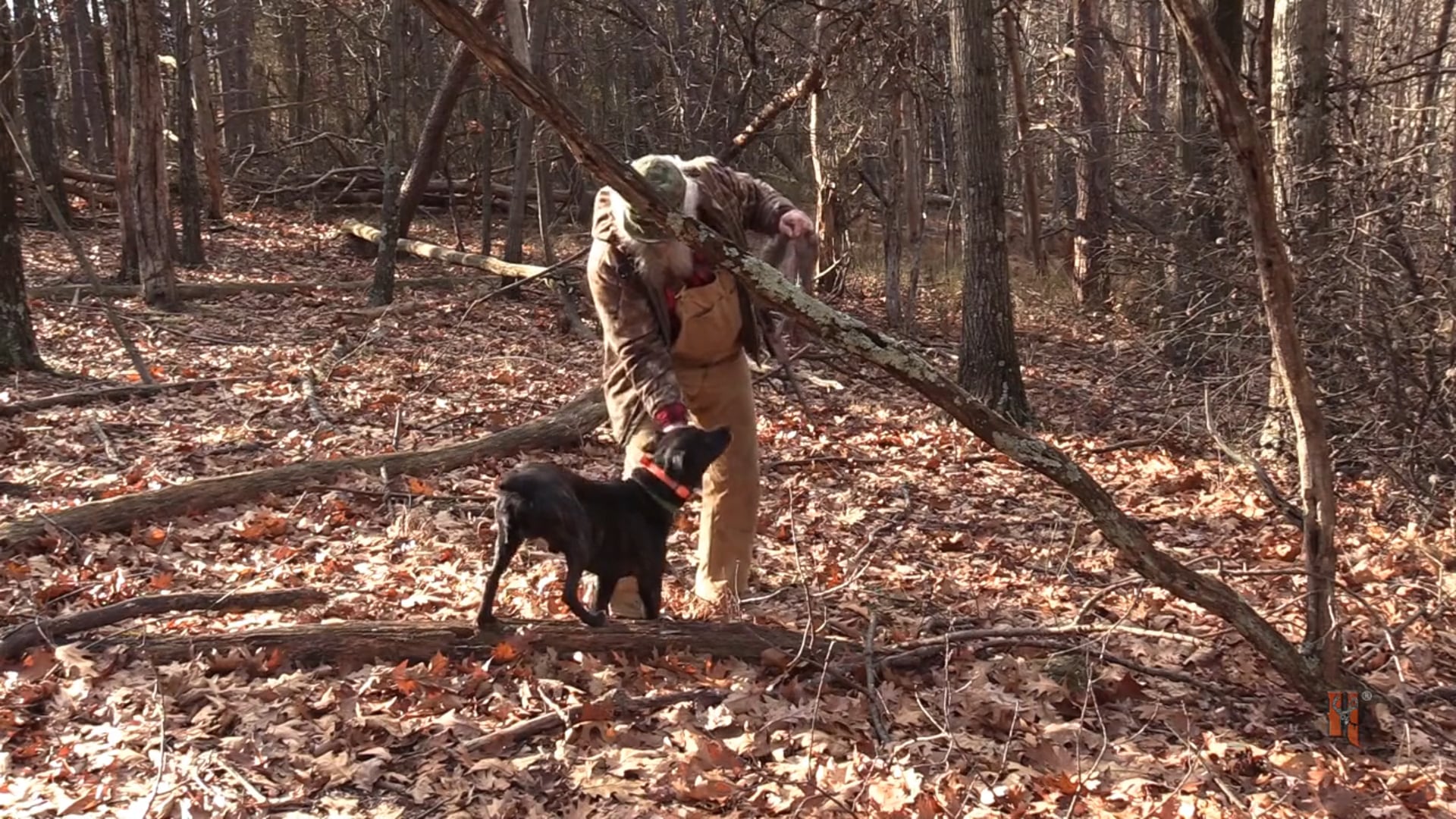 Stevens Family Outdoors - Squirrel Hunting with Scooby