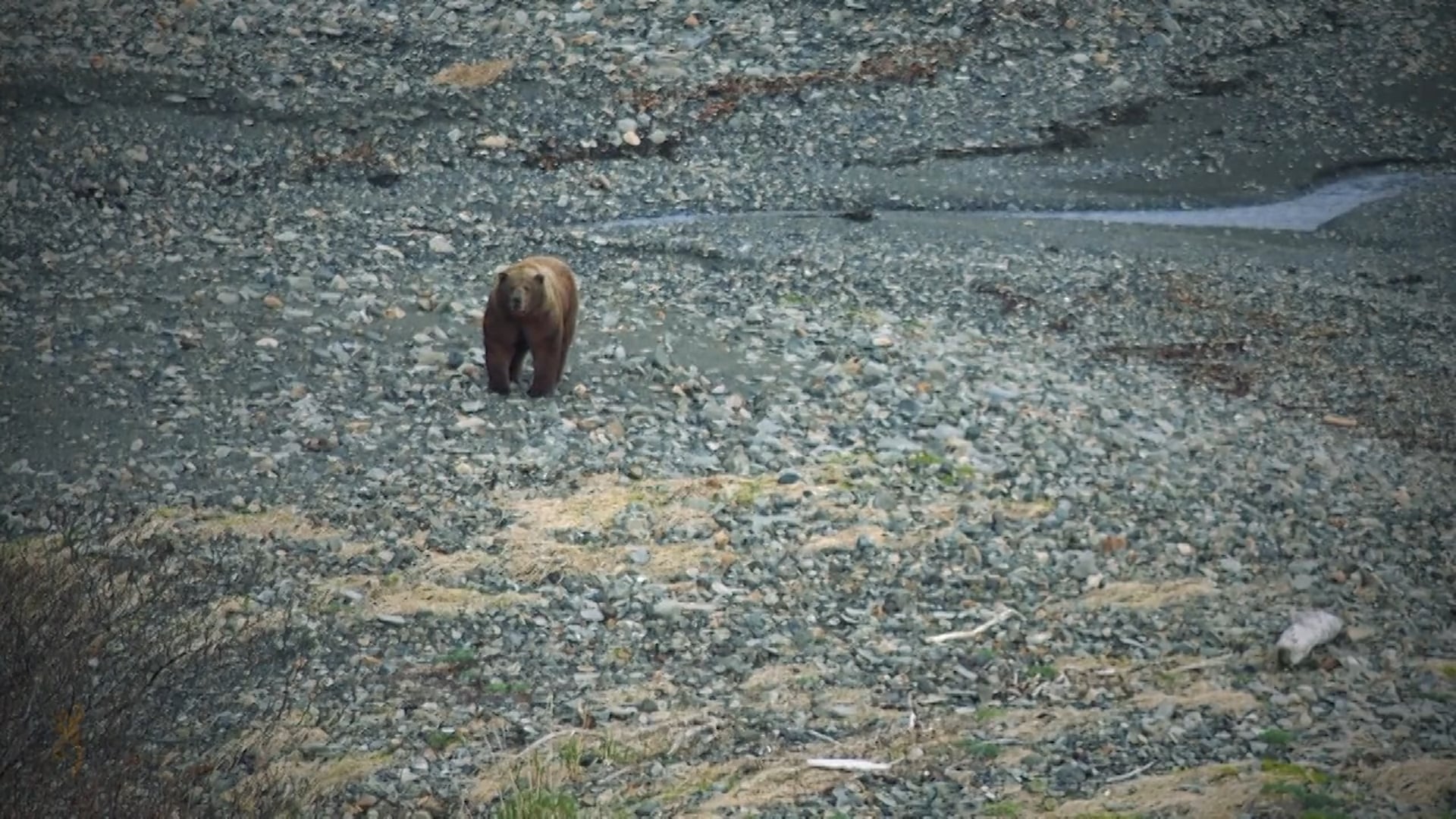 Boundless Webisodes - The Aleutian Peninsula Part 1