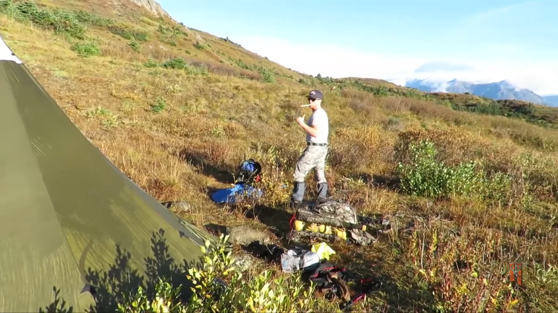 Spenst Outdoors - British Columbia Archery Stone Sheep