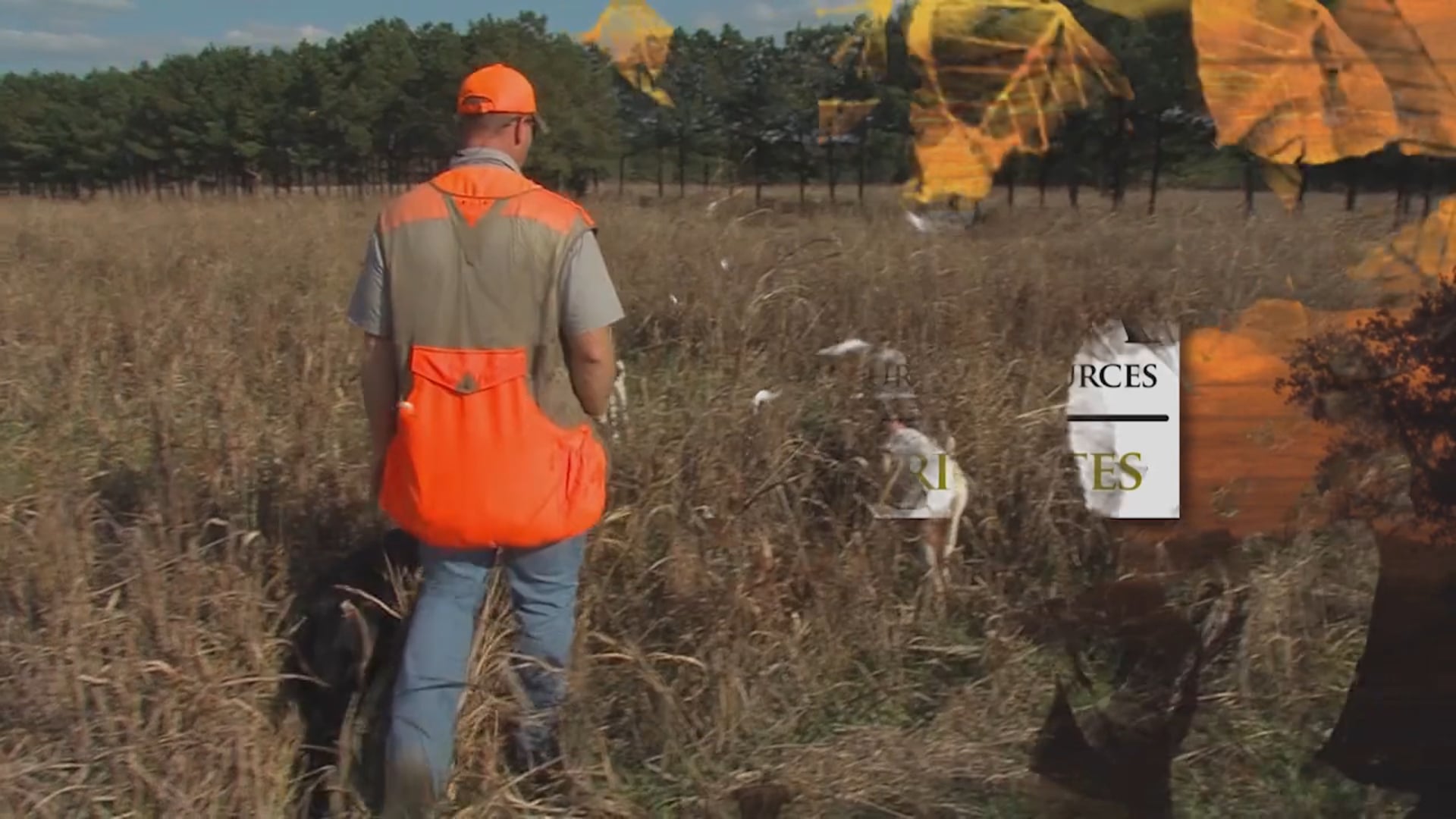 O'Neill Outside - Burnt Pine QDMA