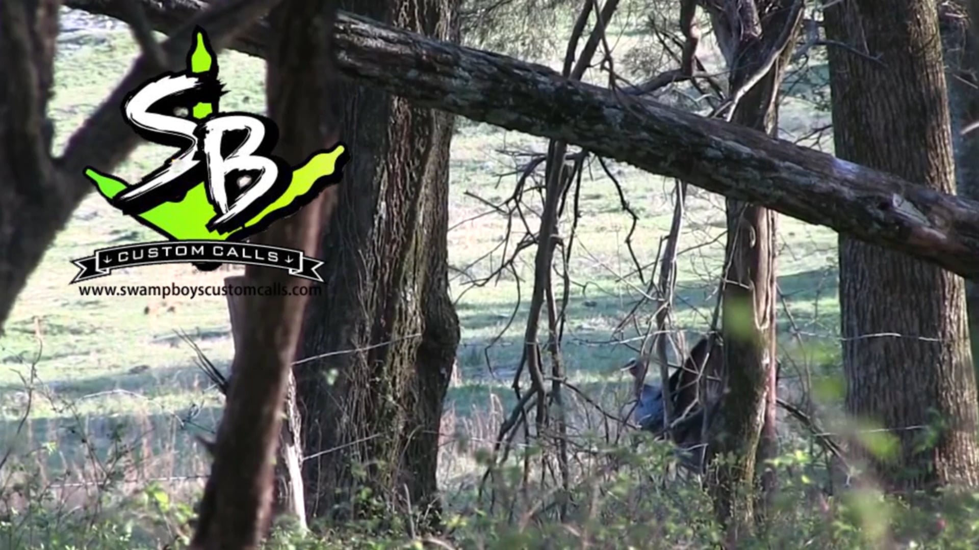 Bible Belt Outdoors - Reelfoot Duckmasters