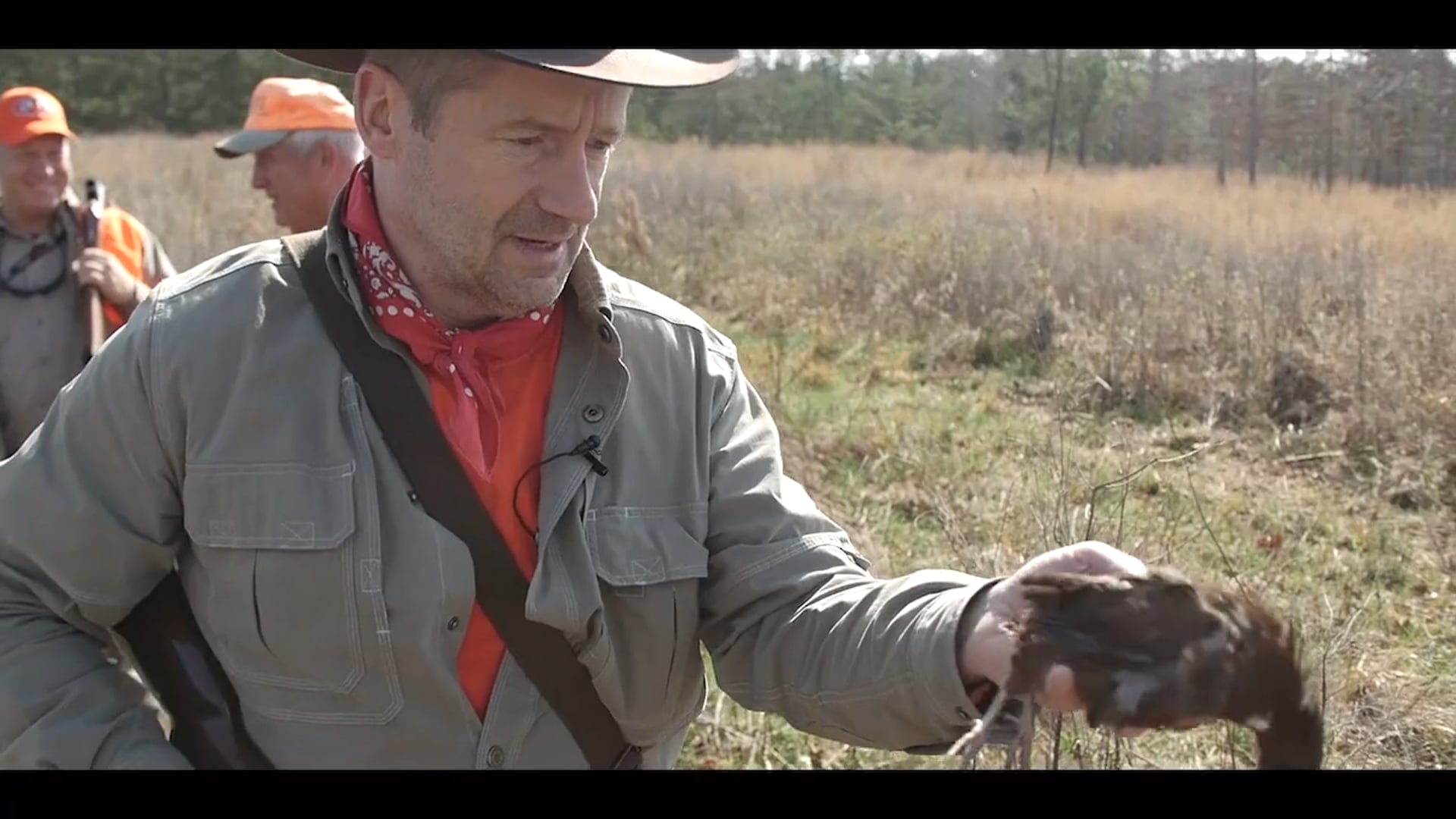 Frontier Unlimited - Bobwhite Quail in the old South
