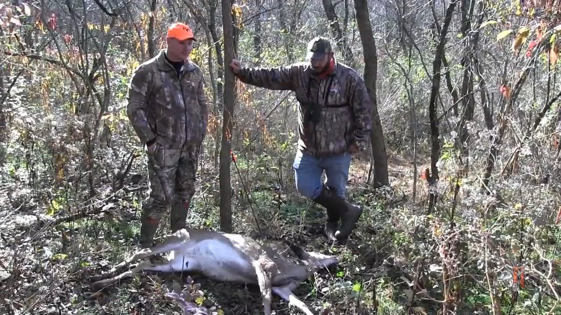 Keystone Wild Outdoors - Doe's and Dont's