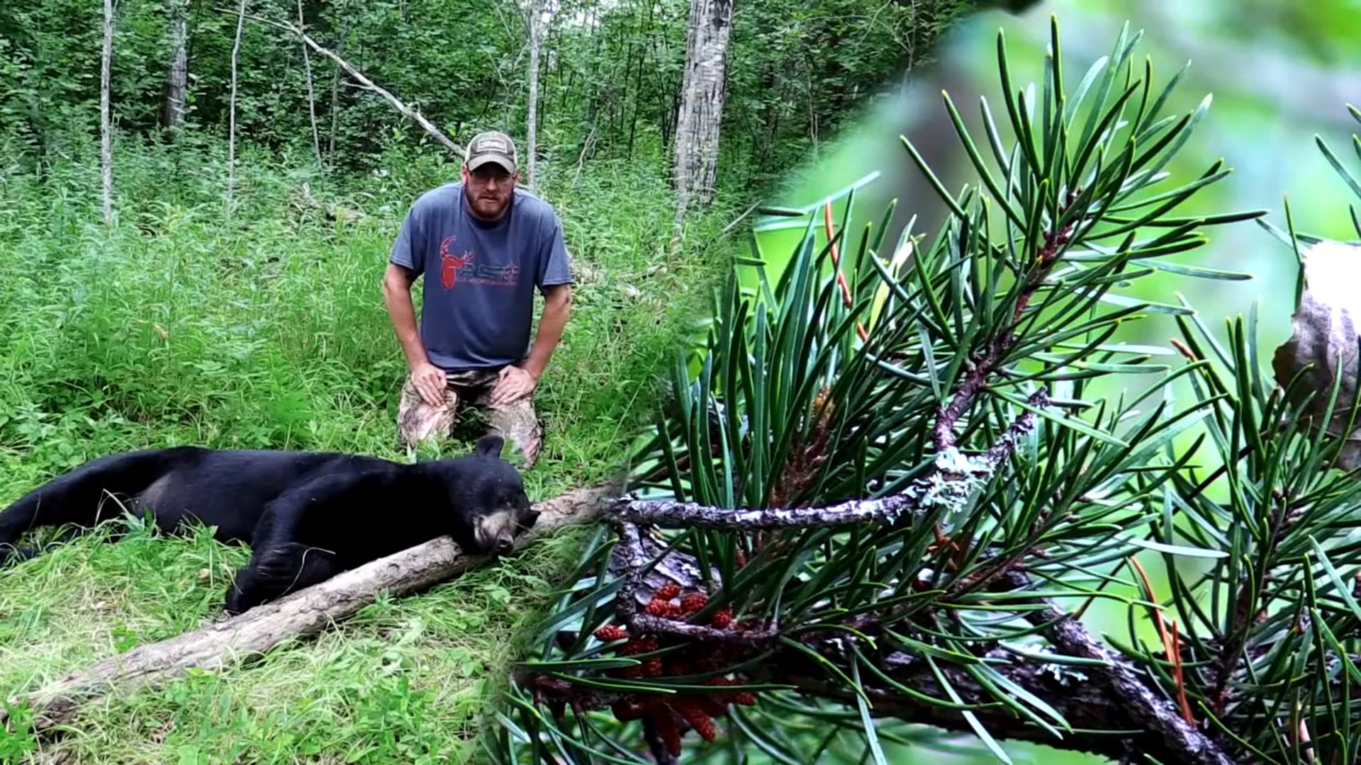All Seasons Pursuit - Season 2 - Episode 2 - Todd Bear 2