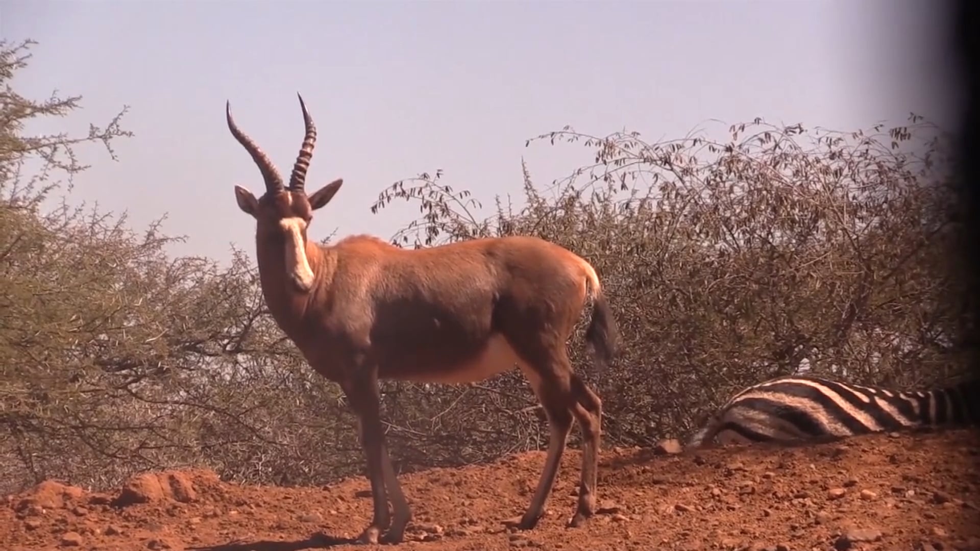 Giving Back - Trophy Game Safaris - Family Traditions