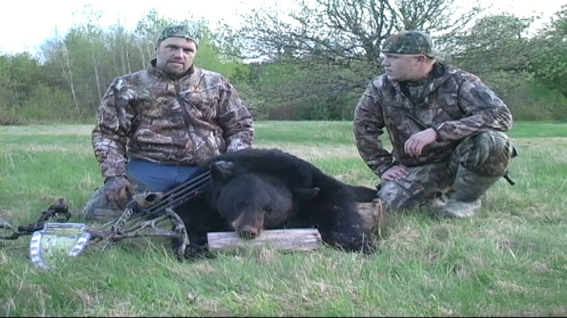 Big E TV - Black Bears in N.B. Canada