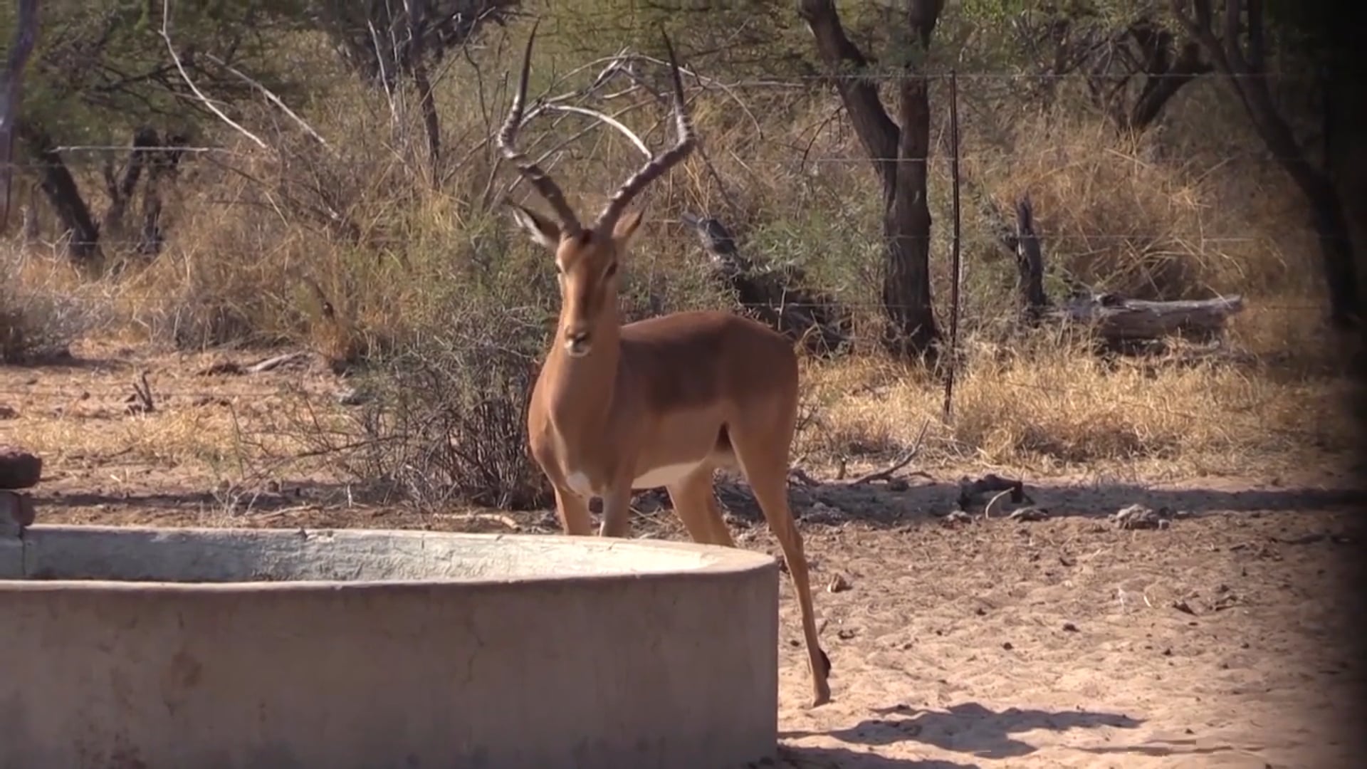 Team NXG - Hunting with African Arrow Safaris Pt. 2
