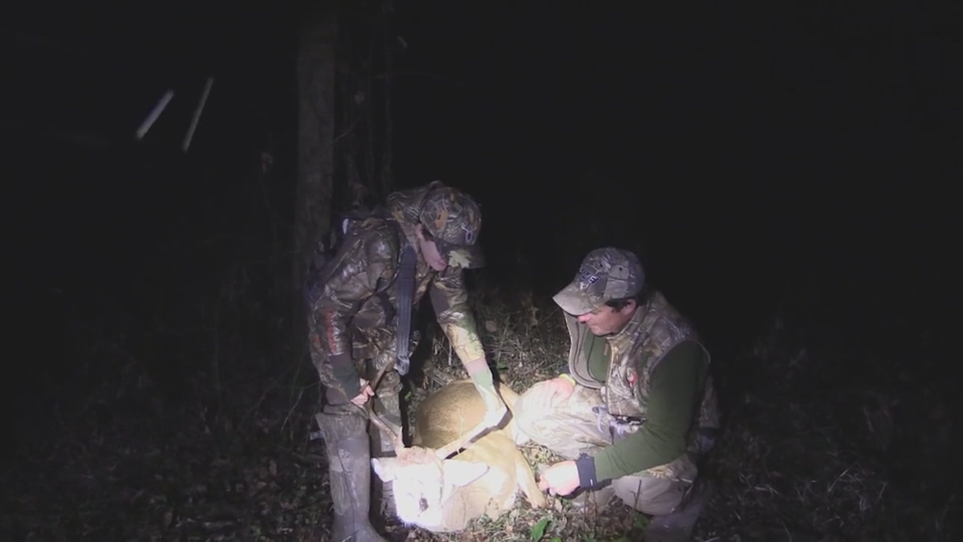 Backwoods Life - Archery Hunting