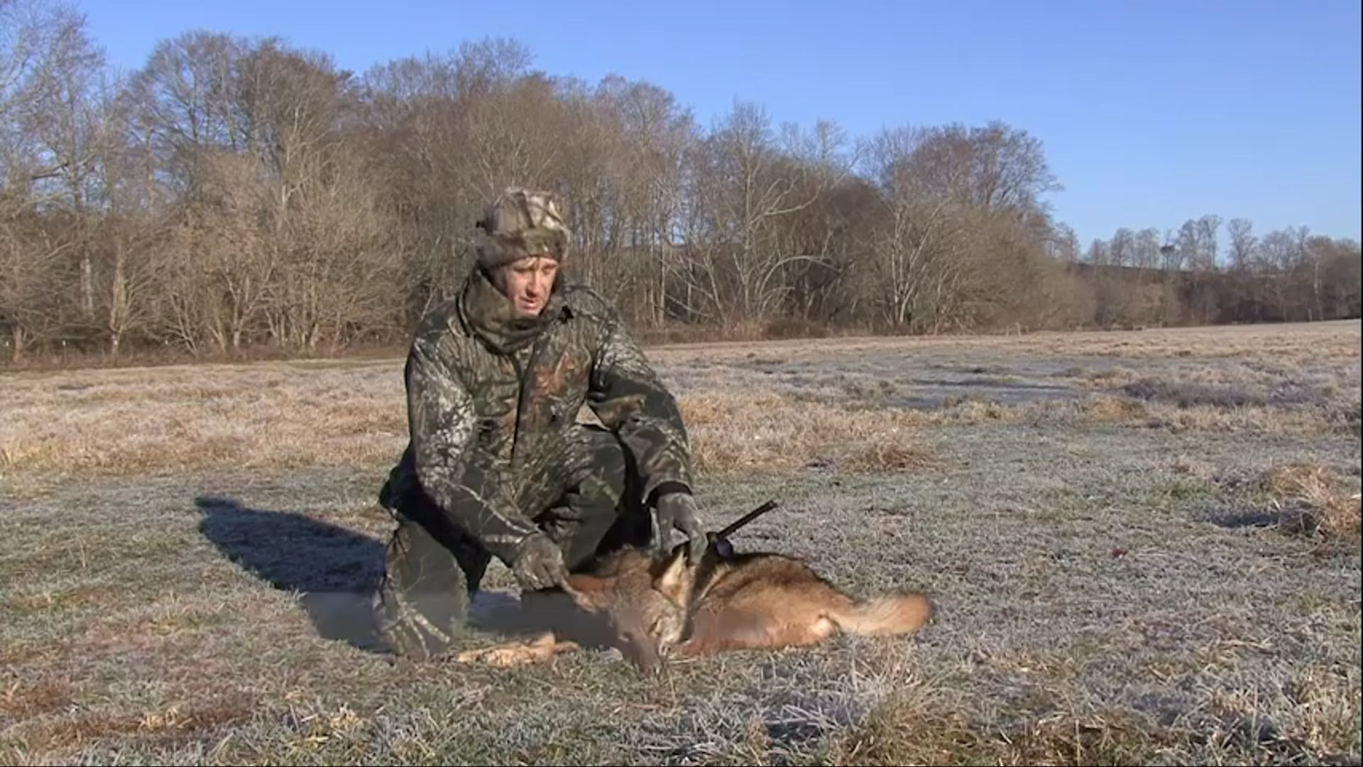 Aaron Outdoors - Doves, Deer & Song Dogs