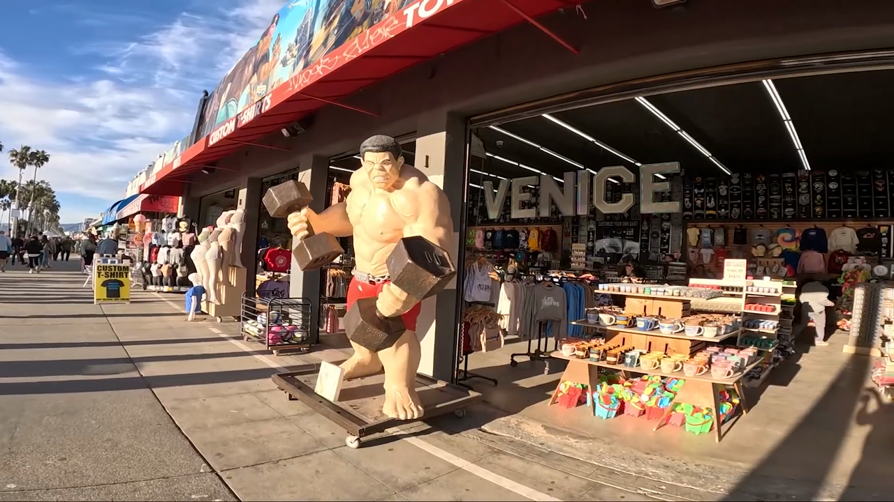 12 Things to Do in VENICE BEACH, California - Venice Beach Guide and Top Attractions