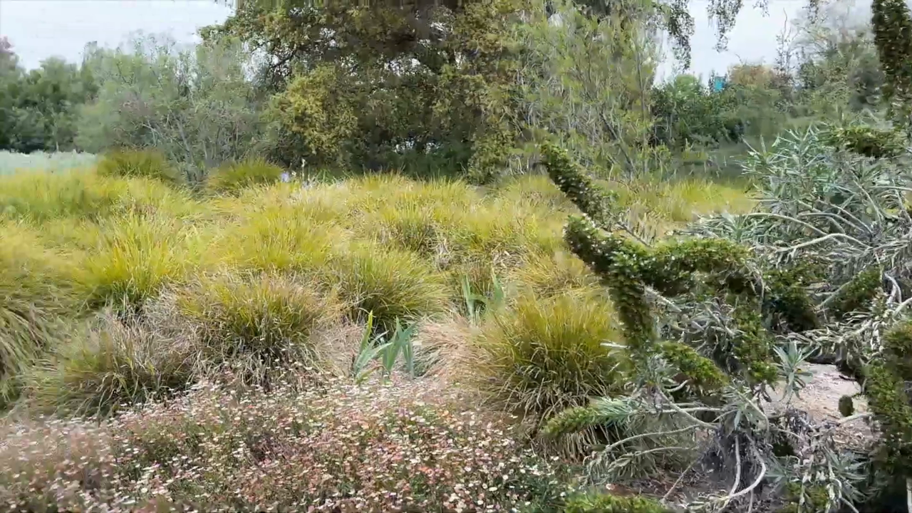10 Best Things to Do in Pasadena, California