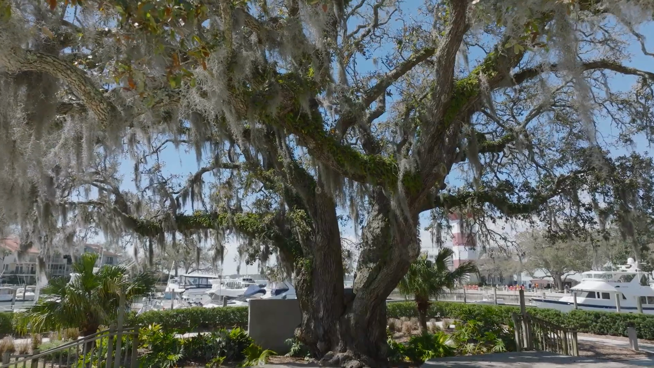 From the Sky: Hilton Head