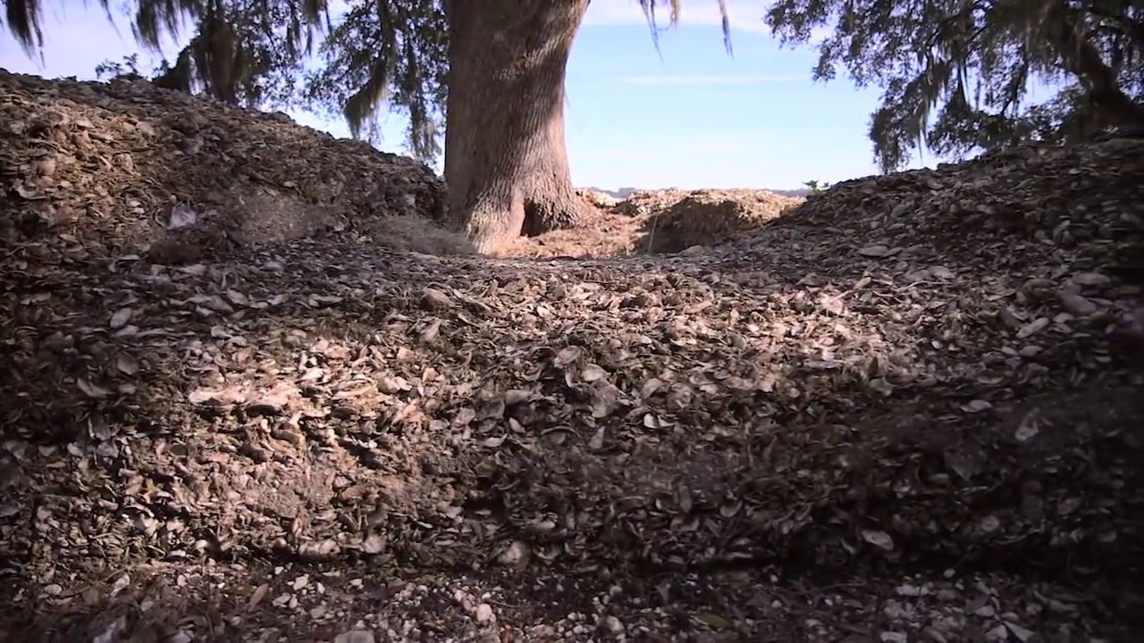Fort Frederick Tabby Restoration