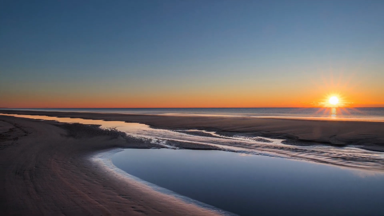 Hilton Head Island: Things to Do and See When You Go