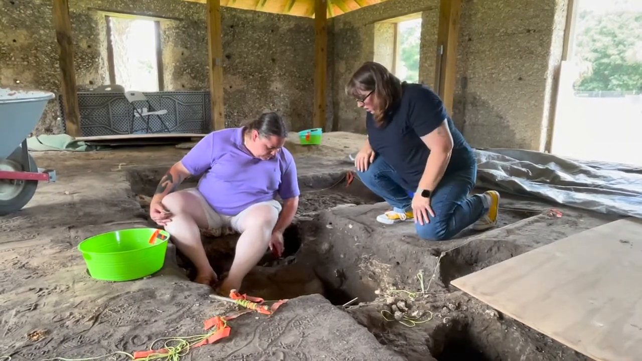 The Barnwell Tabby Dig
